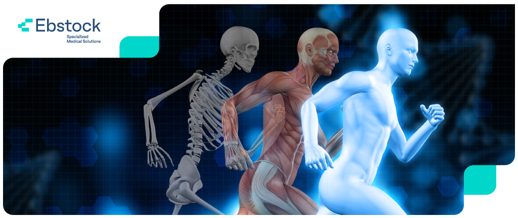 Biomecánica: Riesgos en la Fijación Vertebral Que Todo Cirujano Debe Saber